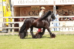 SBM_08539