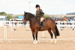 SBM_15548