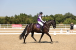 SBM_005661