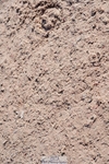 250427-090826-14831