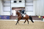 SBM_015493