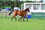 SBM_00126