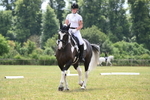 WJ6_6910