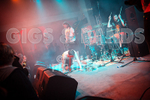 Pigsx7-16