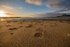 Into the Sunset