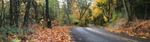 Down the road