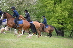 WJ6_1405