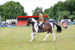 SBM_02638