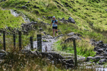 Scafell Pike-822