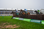 151125-Race 3-Brentford Hope--2997