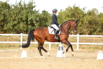 SBM_007600