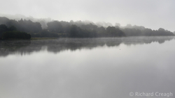 Misty River