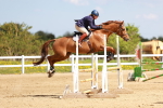 SBM_001641