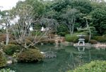 Japan Osaka Castle garden