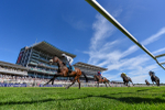 Race 4 3.45pm John Smith's Silver Cup Stakes portfolio