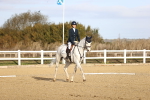 SBM_009018