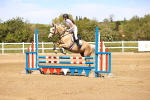 SBM_002583