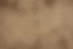 20260913-0676