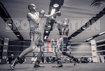 BOUT 9_Cameron Hards v Mark Pitt-6