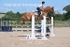 BPP_1076