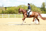 SBM_000395