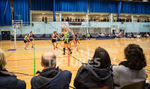 Netball_Panthers v Swans-4
