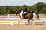 SBM_003871
