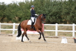 SBM_014706