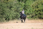 WJ6_7319
