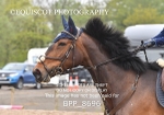BPP_8696