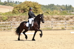SBM_003447