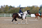 SBM_002231