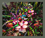 105 Fairies at the bottom of my garden