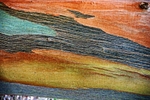DSC01863