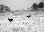 Primrose Hill - Winter Snow_4_London_photography