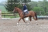 BPP_8419