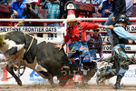 Webster_Cowboy_Protection_CFD_1318