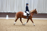 SBM_000475