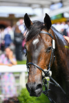 150723-Race 3-Pride of America-0389