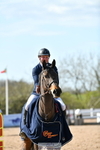 Cls 31, YH 6yr 1.20m portfolio