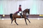 SBM_010652