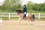 SBM_005987
