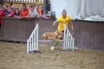SBM_004604