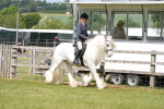SBM_17098