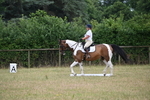 WJ6_9854