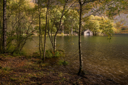 Boathouse through the trees - Wast Water, Lake District