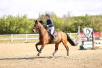 SBM_003171