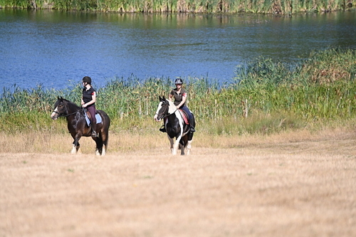 WJ6_8167