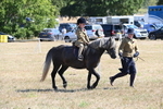 WJ6_7784