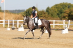 SBM_016552